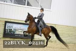 22BUCK_02416 proof