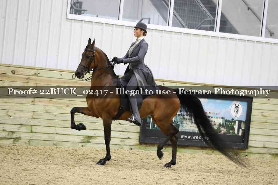 Proof 22BUCK_02417