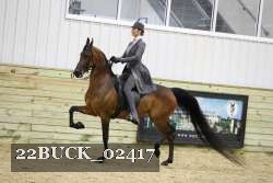 22BUCK_02417 proof