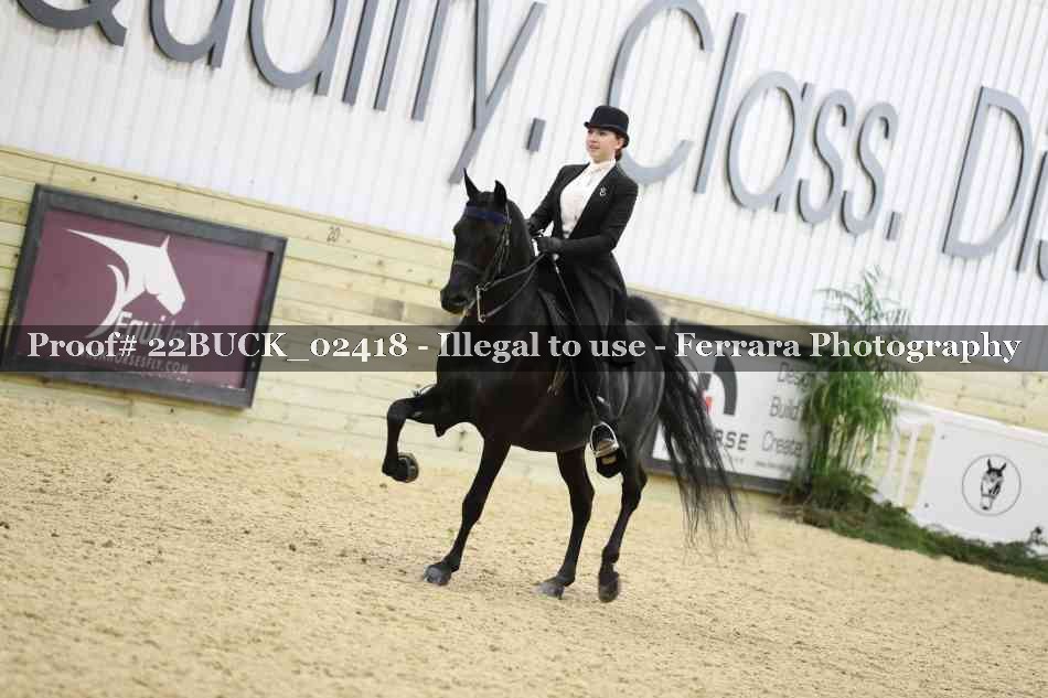 Proof 22BUCK_02418