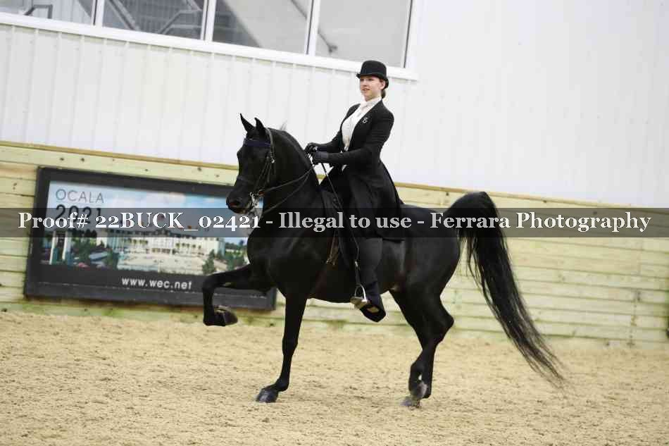 Proof 22BUCK_02421