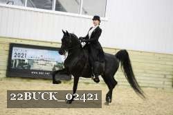 22BUCK_02421 proof