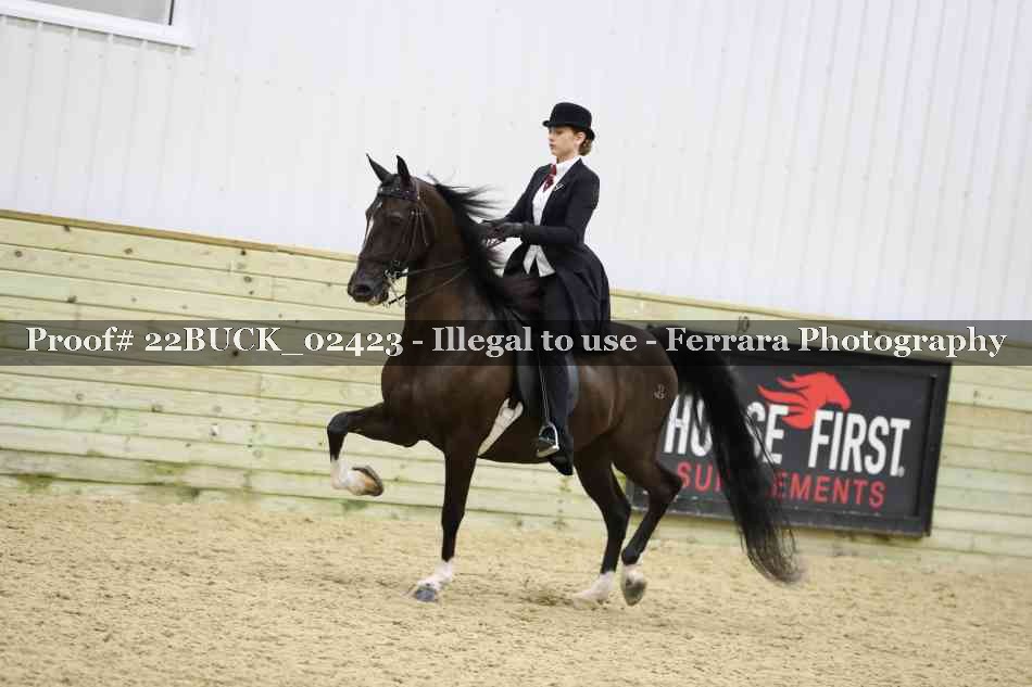 Proof 22BUCK_02423