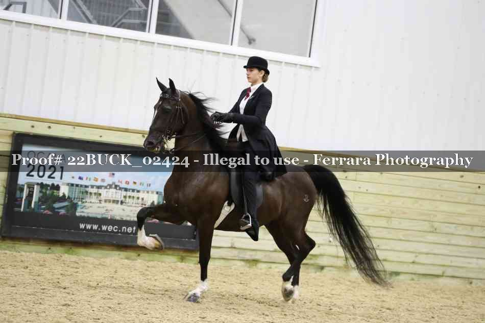 Proof 22BUCK_02424