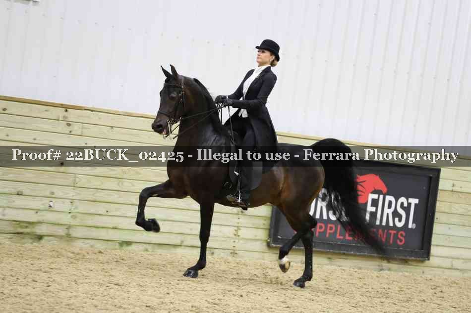 Proof 22BUCK_02425