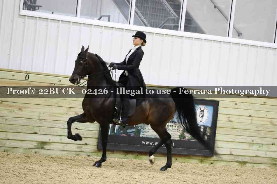Proof 22BUCK_02426