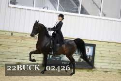 22BUCK_02426 proof