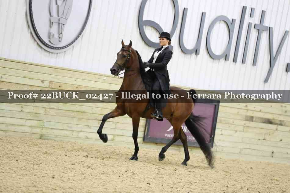 Proof 22BUCK_02427