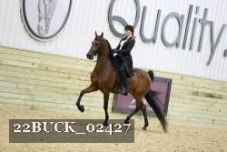 22BUCK_02427 proof