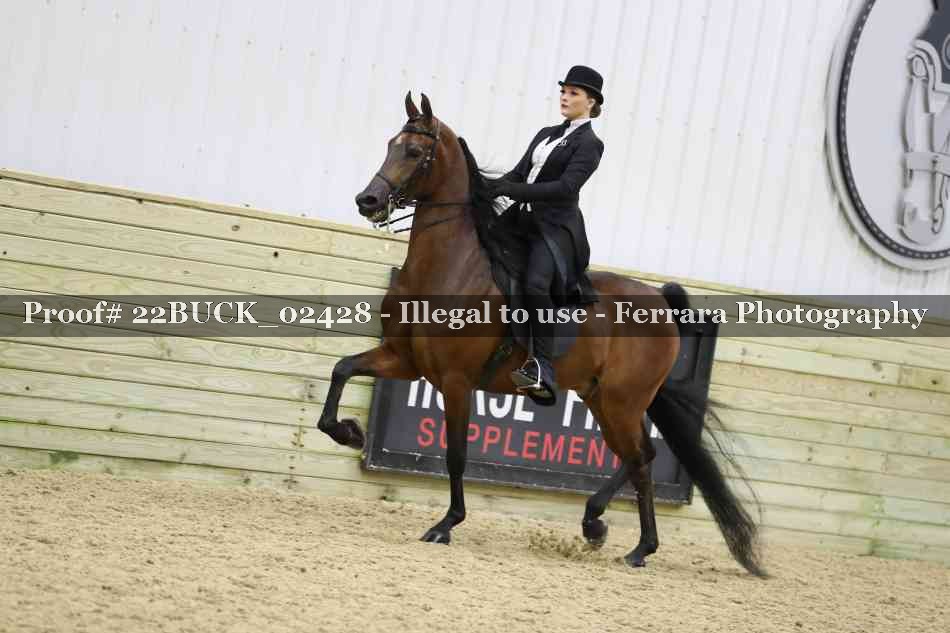 Proof 22BUCK_02428