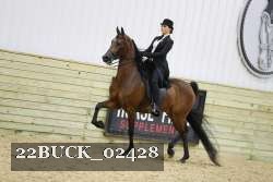 22BUCK_02428 proof