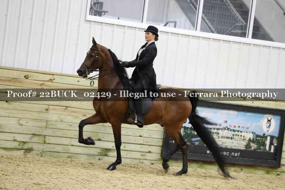 Proof 22BUCK_02429