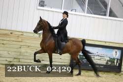 22BUCK_02429 proof