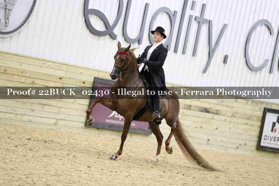 Proof 22BUCK_02430
