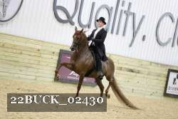 22BUCK_02430 proof