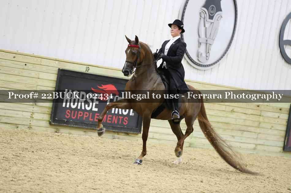Proof 22BUCK_02431