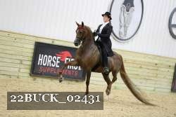 22BUCK_02431 proof
