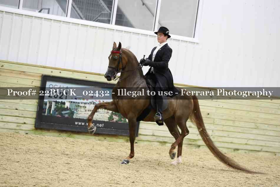 Proof 22BUCK_02432
