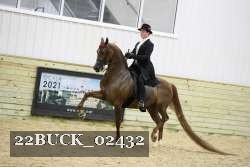 22BUCK_02432 proof
