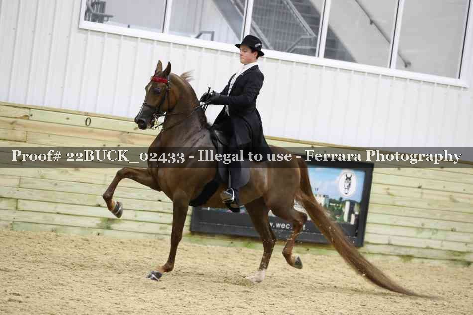 Proof 22BUCK_02433