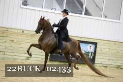 22BUCK_02433 proof