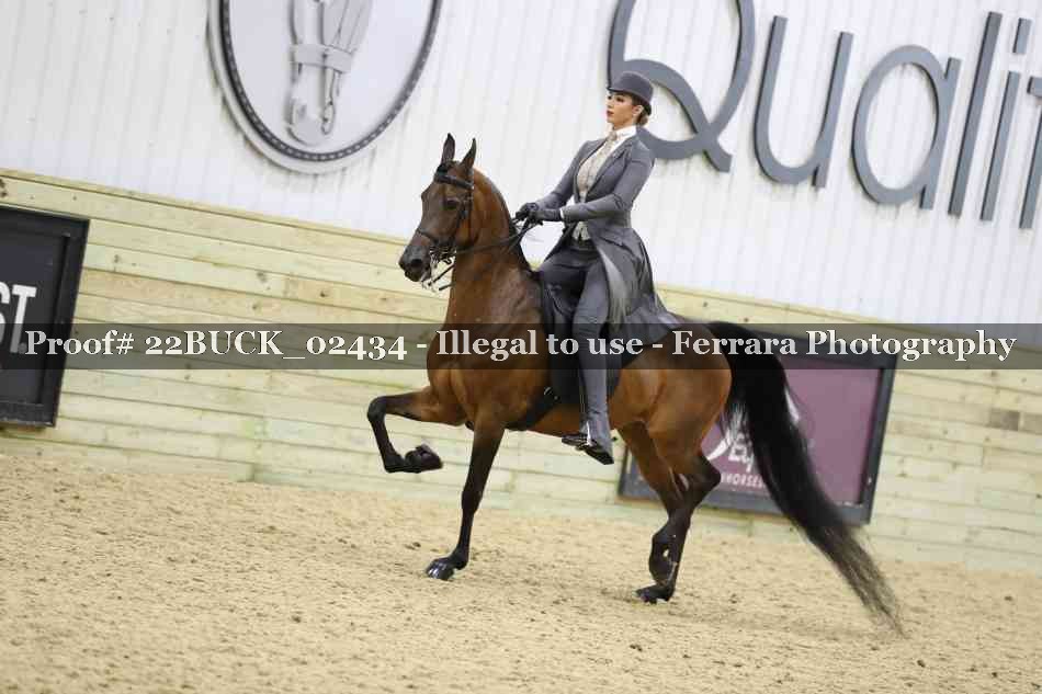 Proof 22BUCK_02434