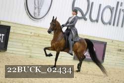 22BUCK_02434 proof