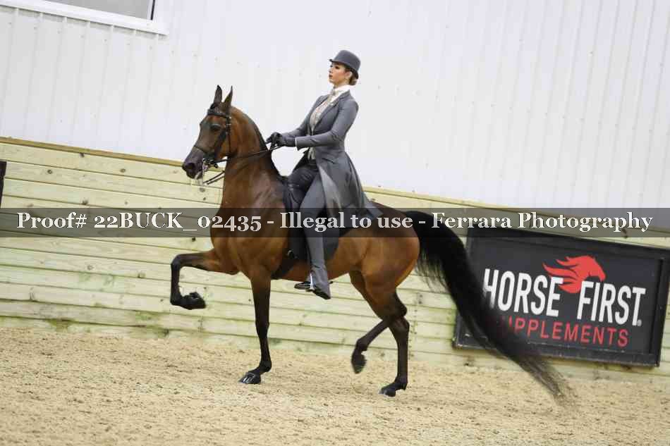 Proof 22BUCK_02435