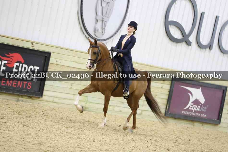 Proof 22BUCK_02436