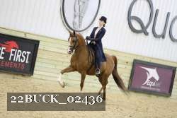 22BUCK_02436 proof