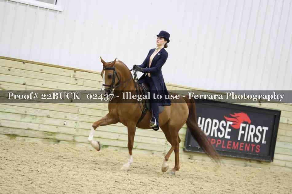 Proof 22BUCK_02437