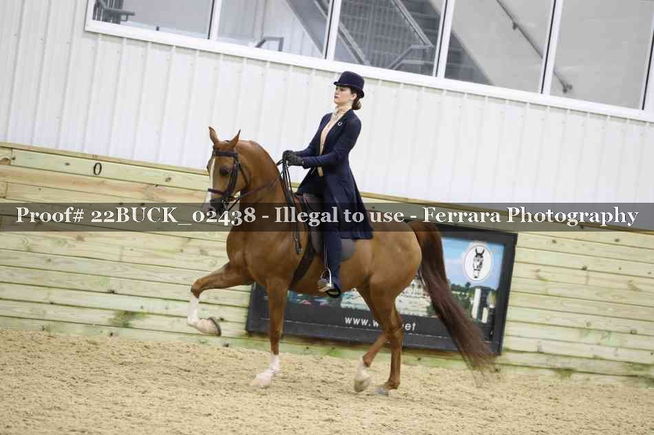 Proof 22BUCK_02438