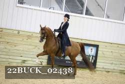22BUCK_02438 proof
