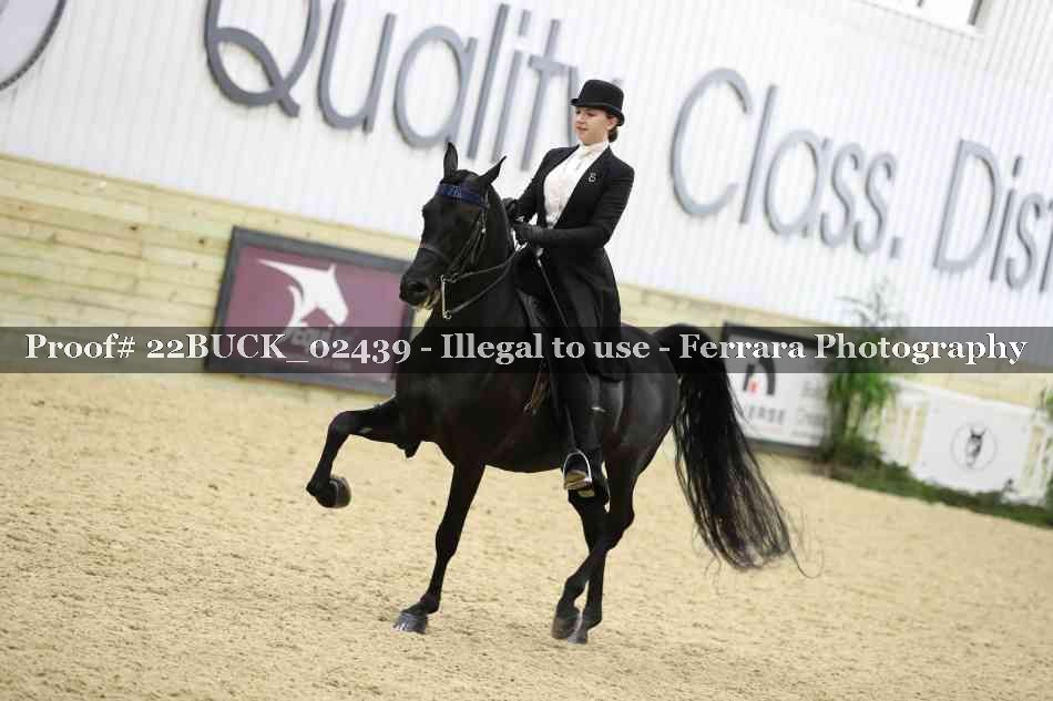 Proof 22BUCK_02439