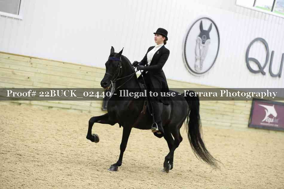 Proof 22BUCK_02440