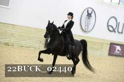 22BUCK_02440 proof