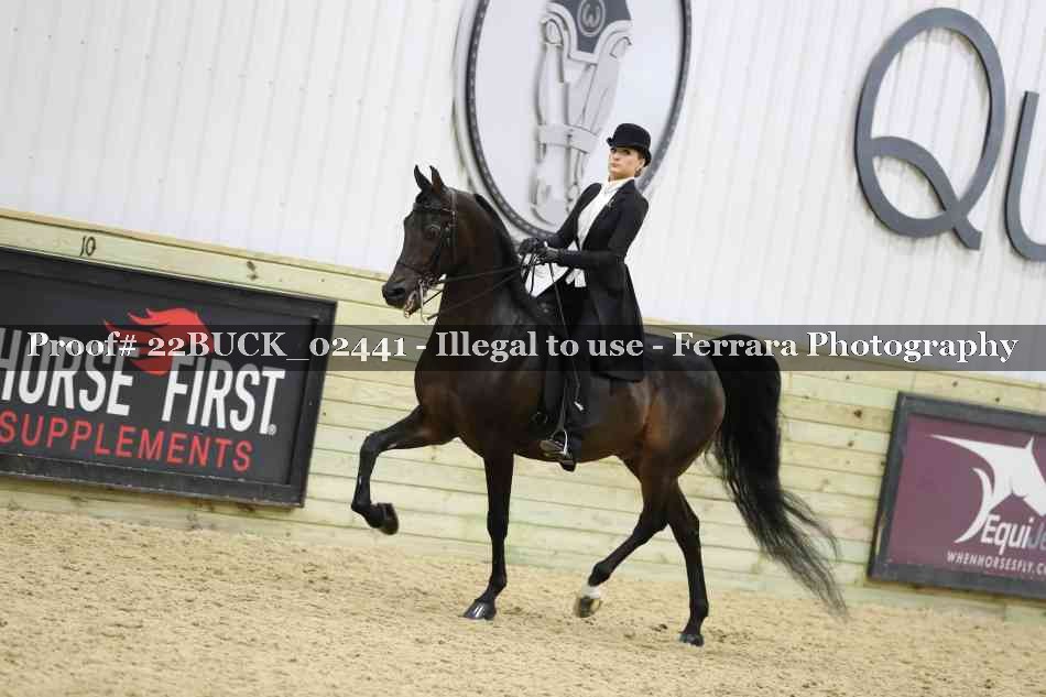 Proof 22BUCK_02441