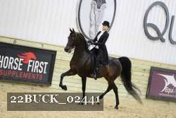 22BUCK_02441 proof