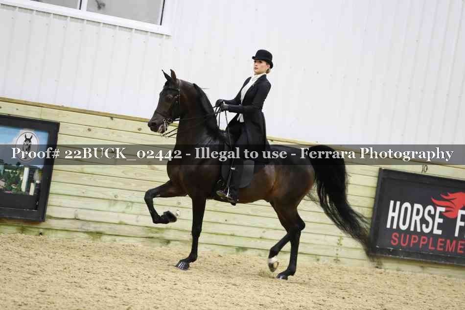 Proof 22BUCK_02442