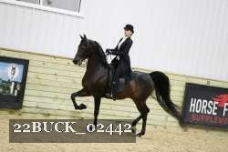 22BUCK_02442 proof