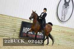 22BUCK_02443 proof