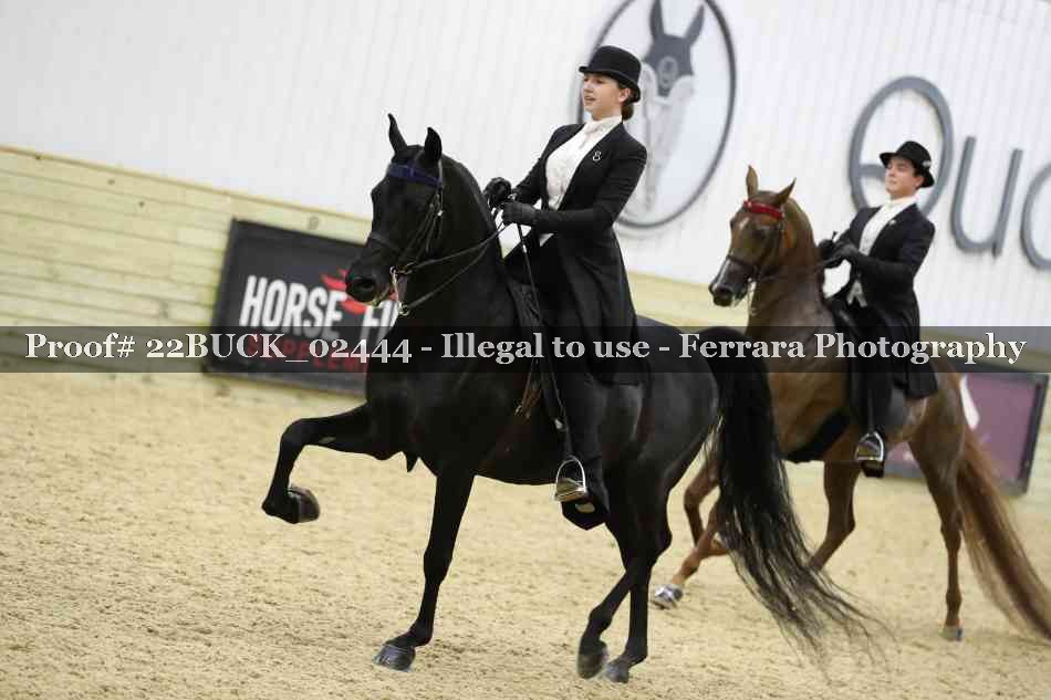 Proof 22BUCK_02444