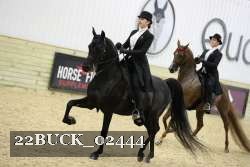 22BUCK_02444 proof