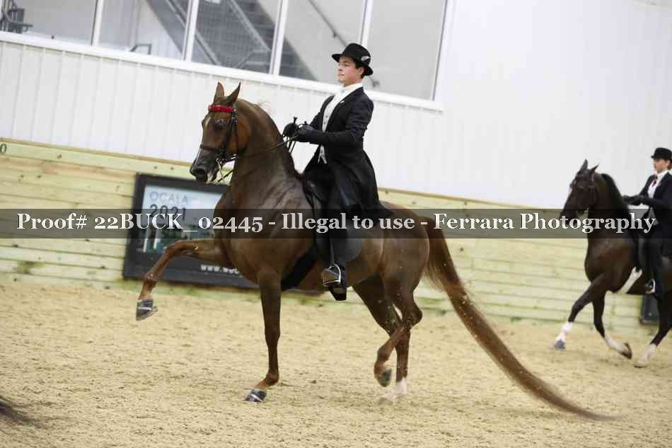 Proof 22BUCK_02445