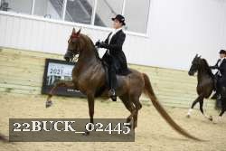 22BUCK_02445 proof