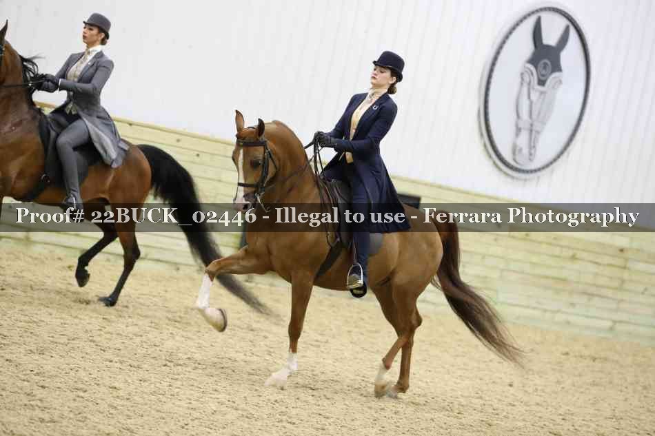 Proof 22BUCK_02446