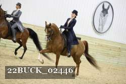 22BUCK_02446 proof