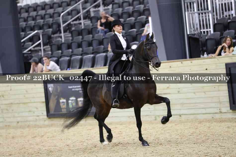 Proof 22BUCK_02447
