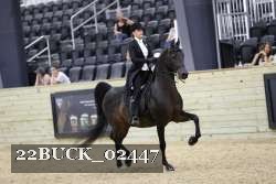 22BUCK_02447 proof