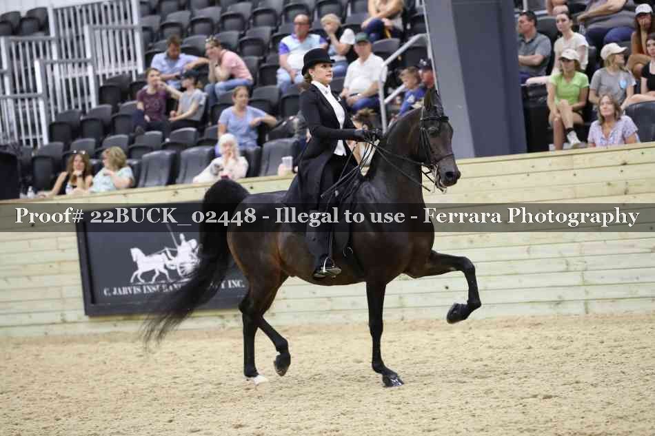 Proof 22BUCK_02448
